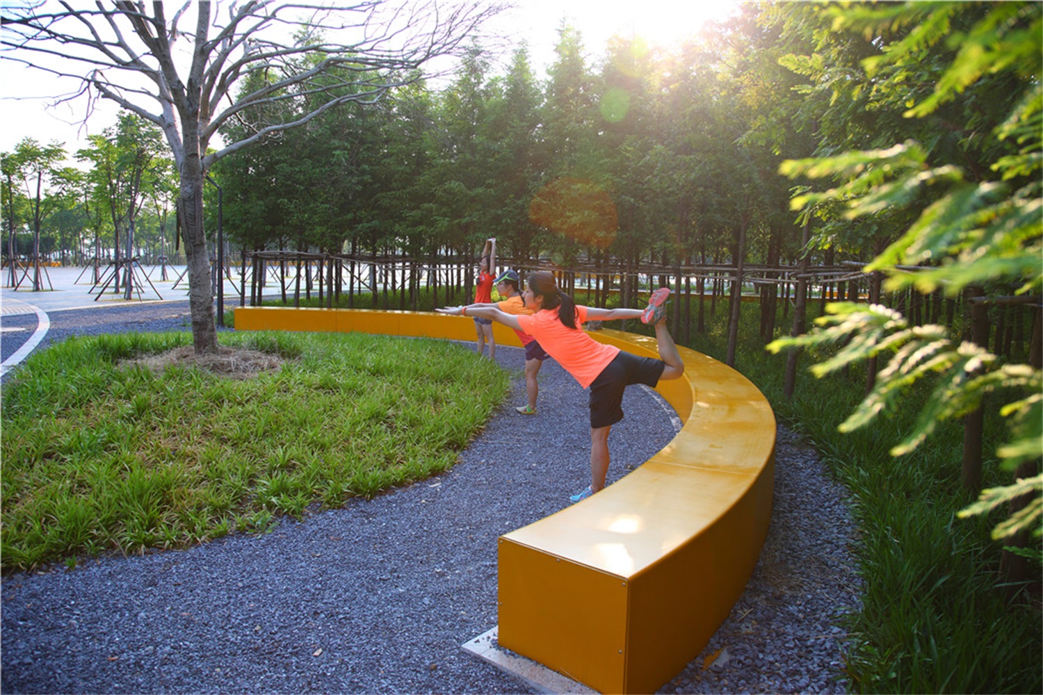 西安雁南公园（二期）丨中国西安丨土人设计（Turenscape）-274