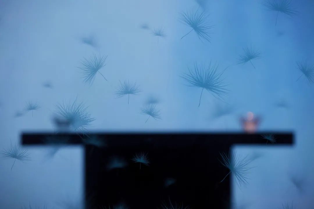 足本纪·百官店 | 禅意与光的艺术融合-18