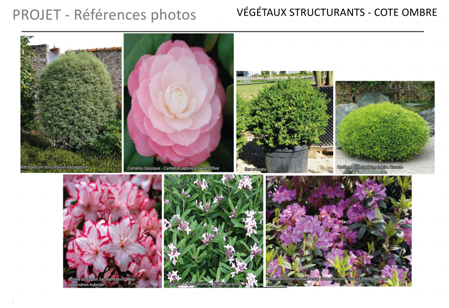 Neuilly Sur Seine某公寓入口景观设计项目-13