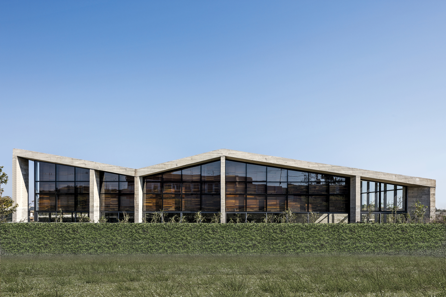 巴西 Braga House 绿色生态现代住宅-23