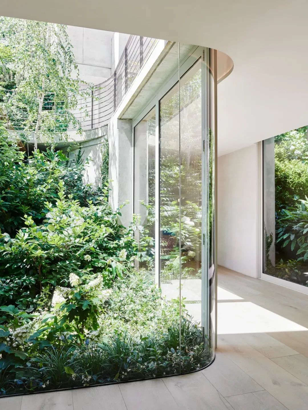 河畔别墅豪宅丨澳大利亚墨尔本丨Susi Leeton Architects+Interiors-19