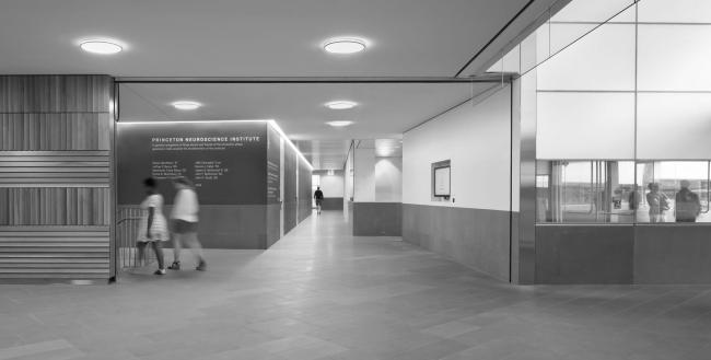 普林斯顿大学神经生物学与心理学综合体丨美国新泽西丨拉斐尔·莫内奥,Davis Brody Bond-34