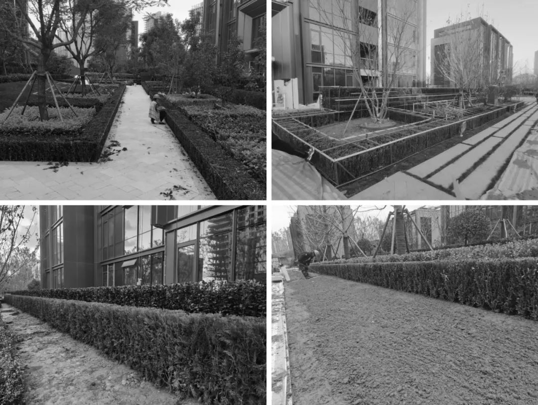 北纬 37°蓝色之梦·烟台天马相城·禾园丨中国烟台-52