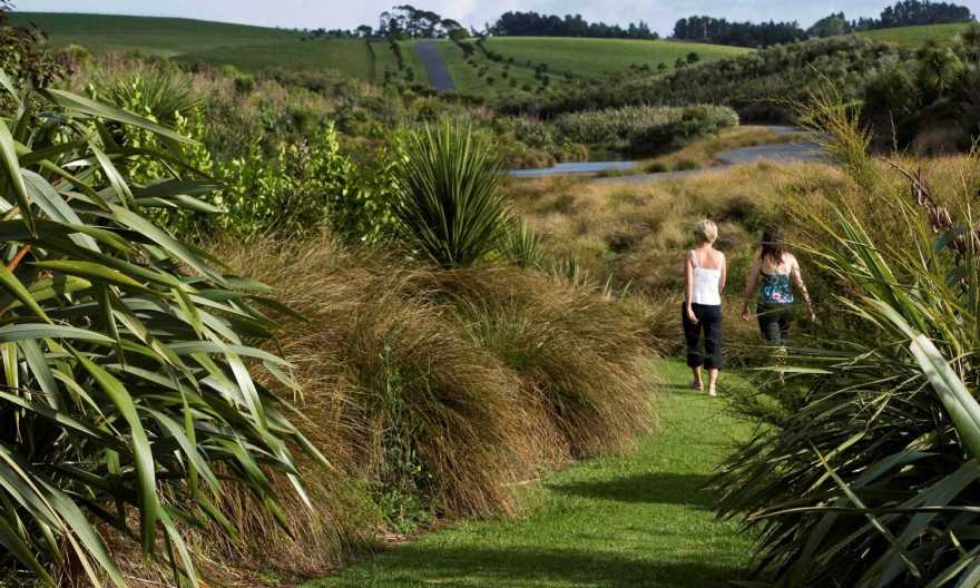 新西兰滨海绿地公园-10