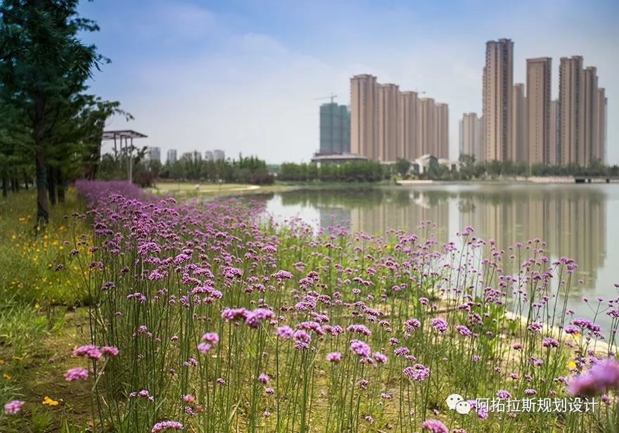 苏州科技城中央公园-80