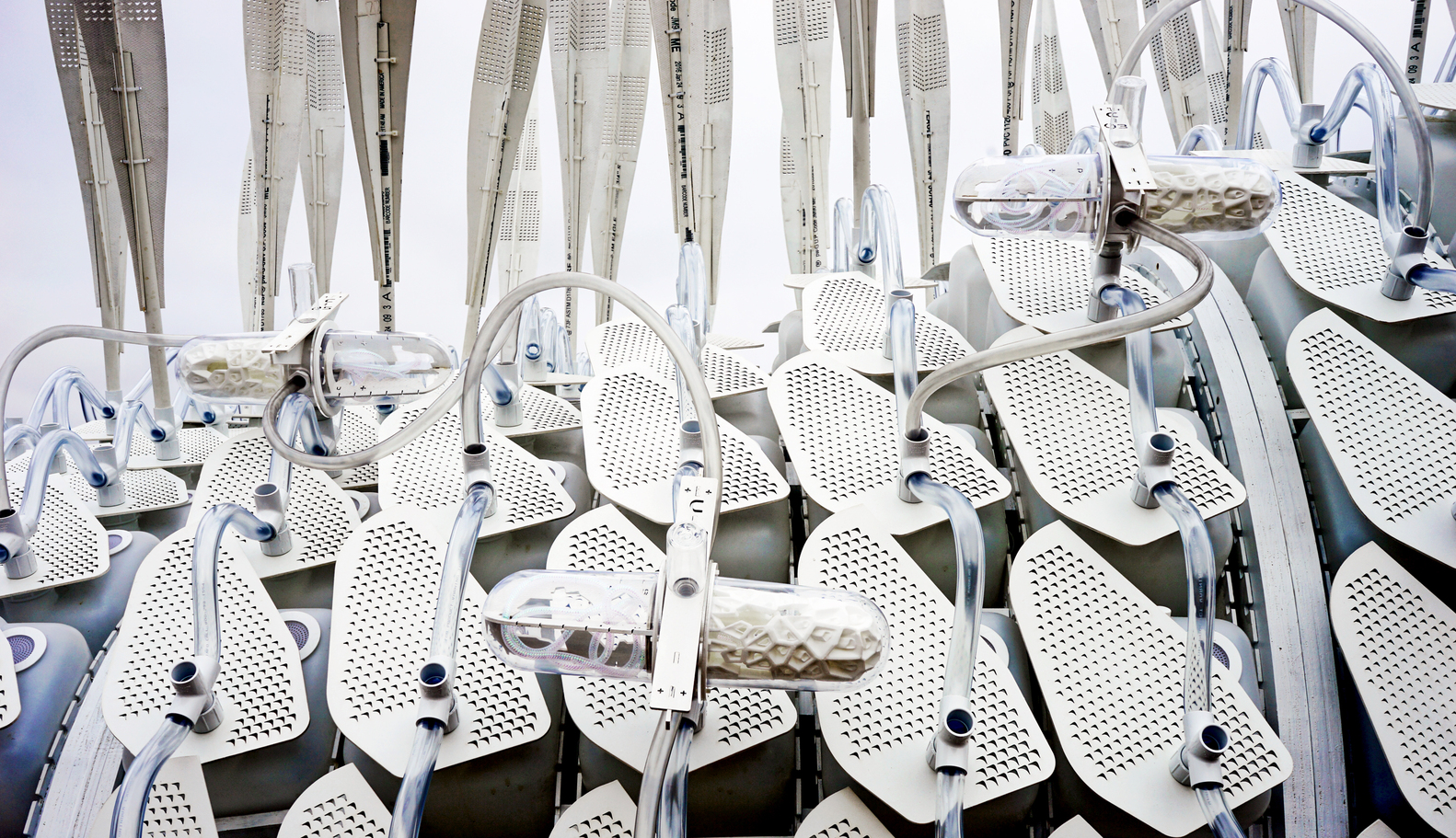 昆虫农场与庇护所结合的创新建筑-29