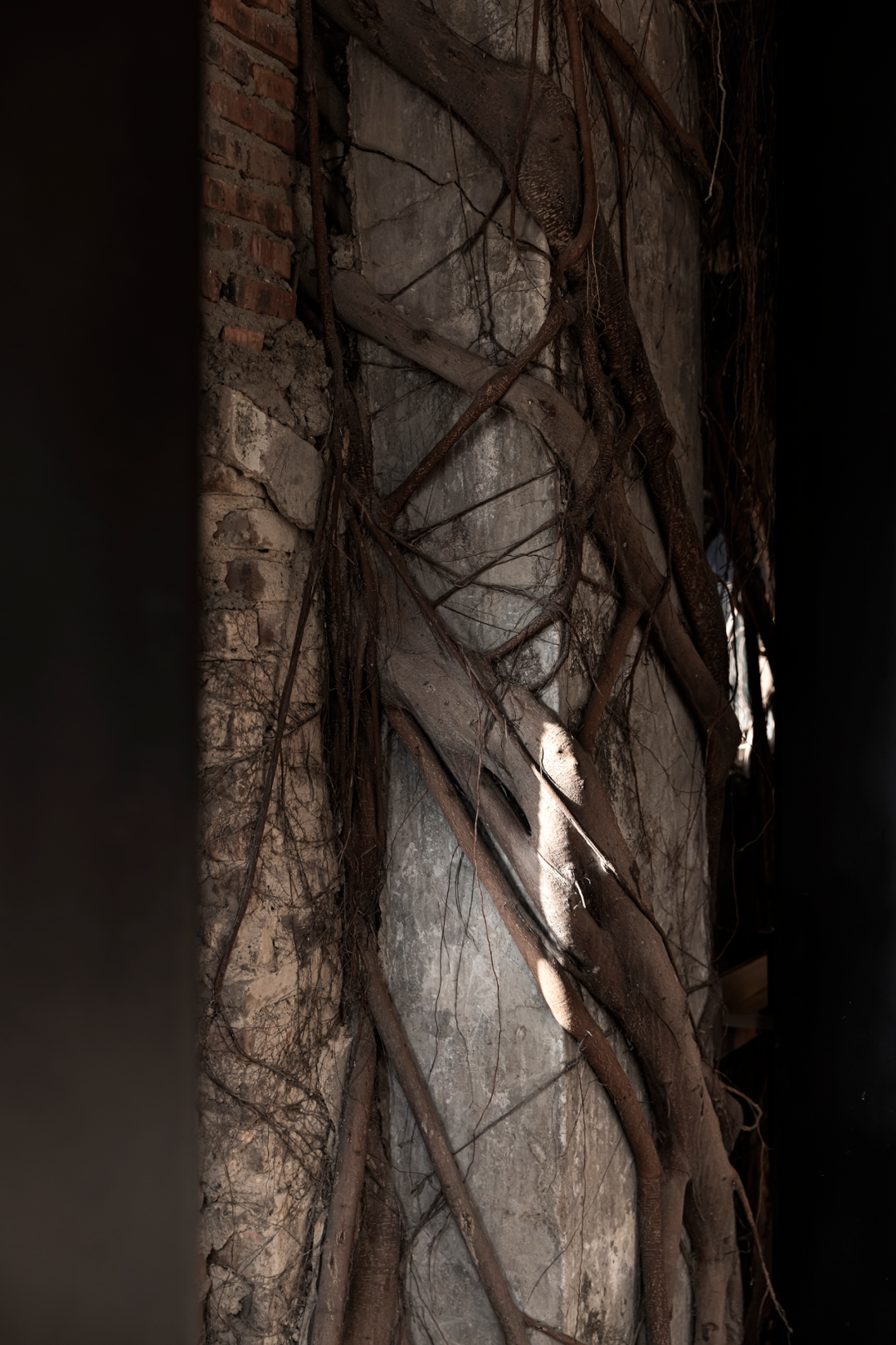 篽箖·上野书屋丨中国惠州丨BDSD吾界空间设计-43