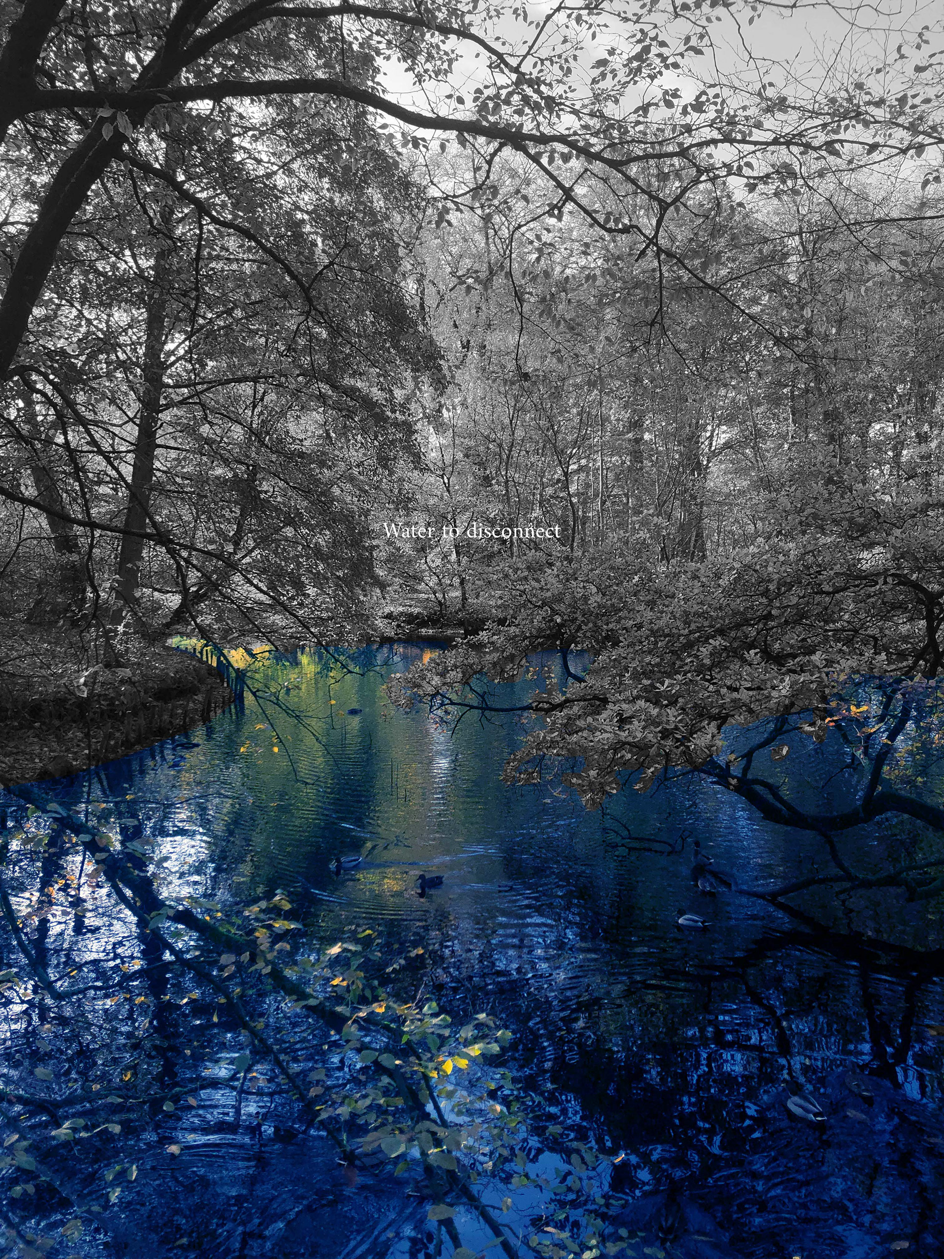 Living with water-11