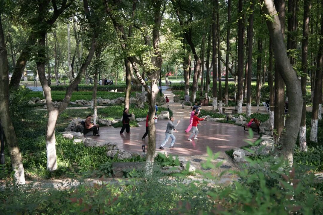 ASLA获奖作品 连接过去和未来的城市绿洲——嘉兴火车站景丨中国嘉兴丨致舍景观-50