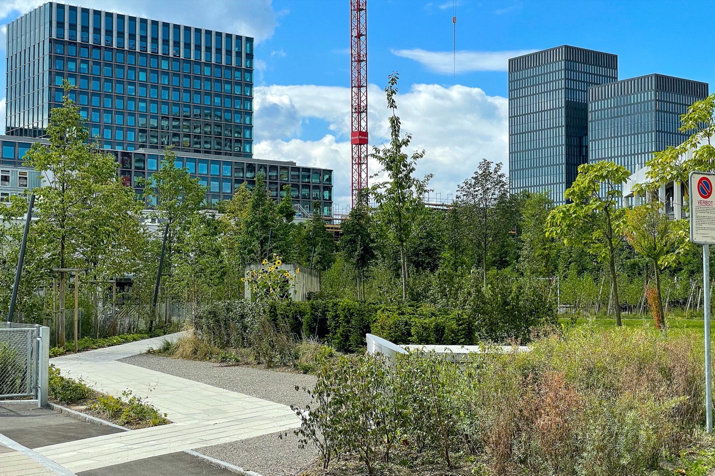 苏黎世“内部花园”改造丨瑞士苏黎世丨mavo Landschaften-9