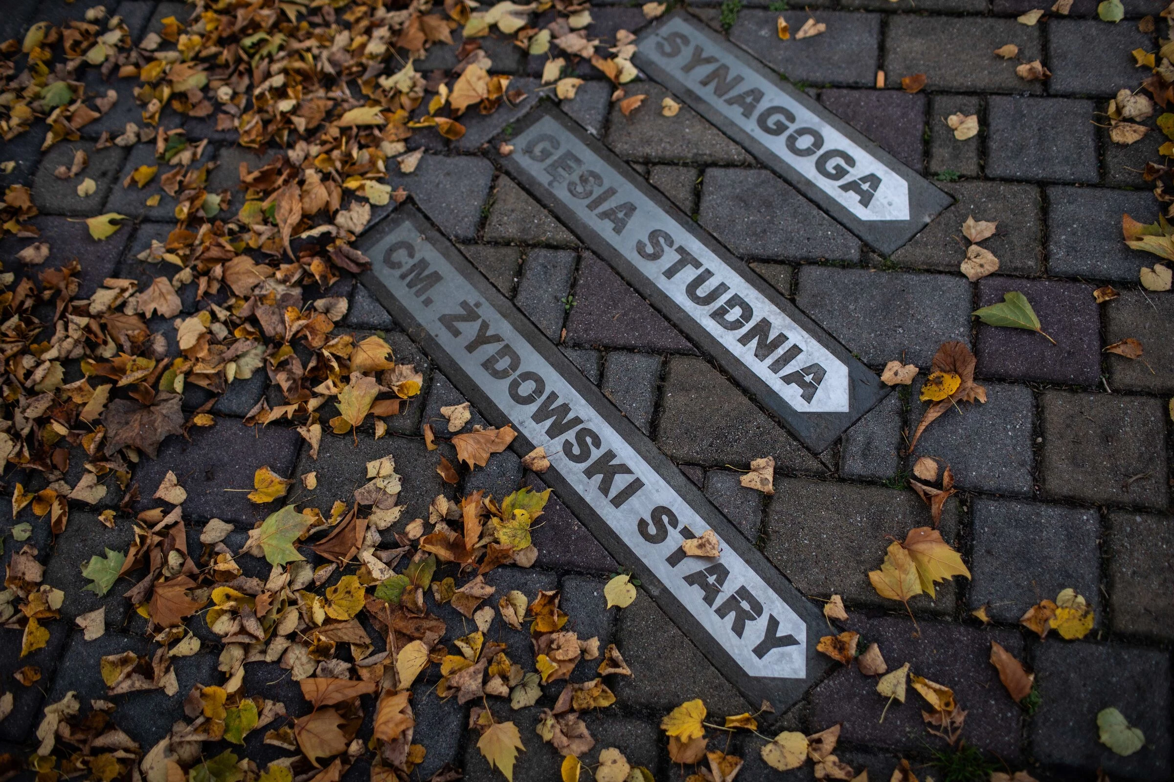 Chmielnik 市场广场振兴项目丨波兰丨GDAK STUDIO-12