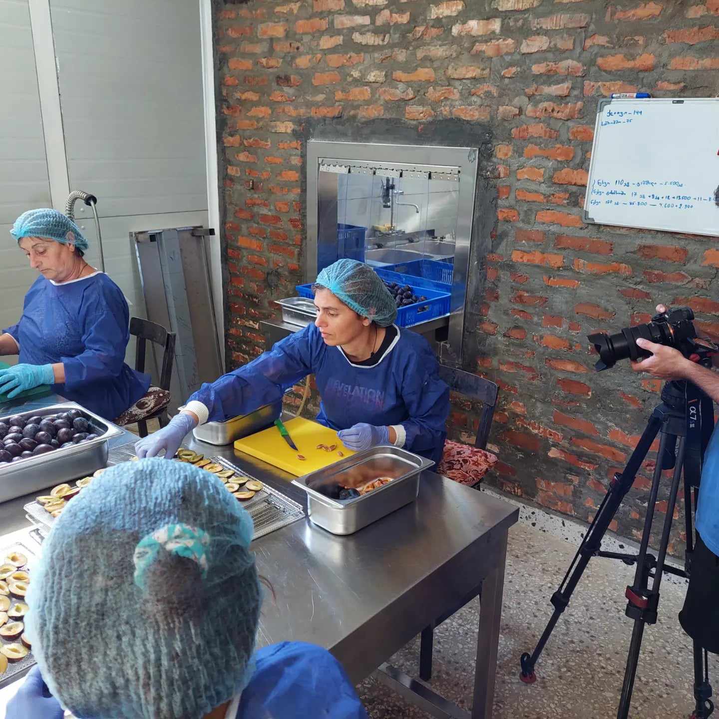 “სკიჯის სახლი”生态旅游项目-13