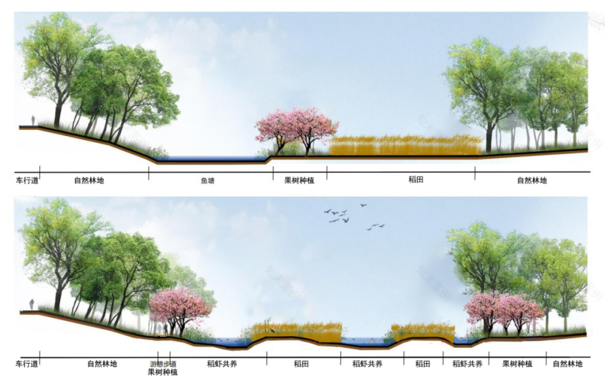 石虎村 · 福地振兴的解码之路丨成都市城镇规划设计研究院有限公司-48