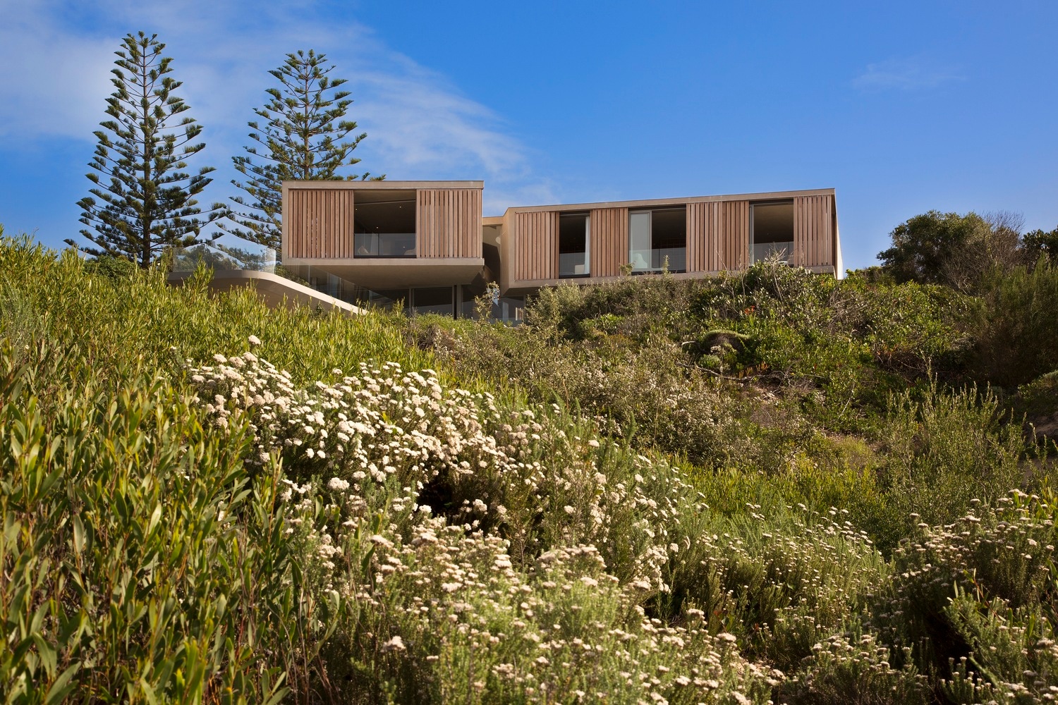 灯塔岛滨海别墅丨南非丨克里斯·博伊德-0