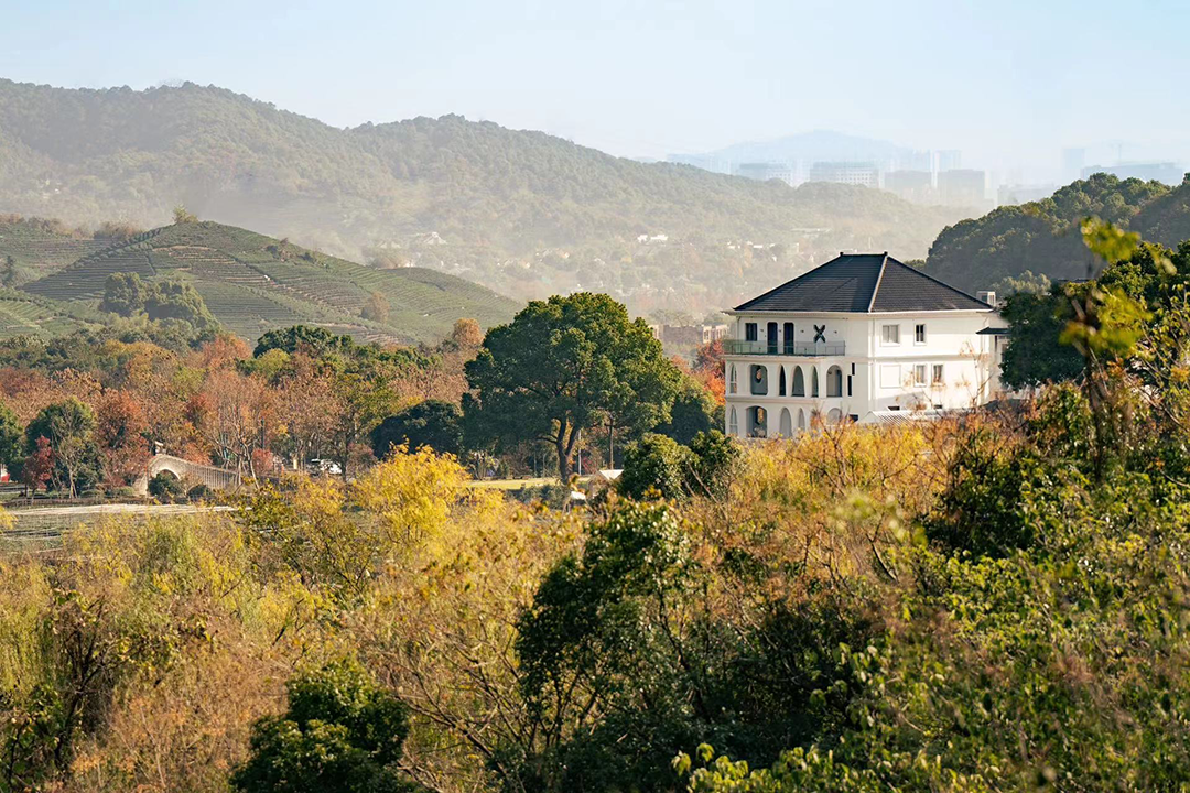 鲸与惊奇丨中国杭州丨无题设计-15