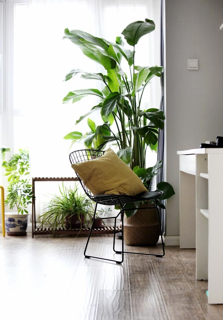 小六与凉诺的家-11