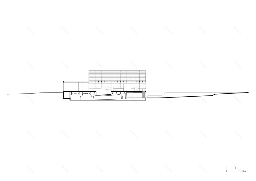 蒙特利尔昆虫馆丨加拿大蒙特利尔-42