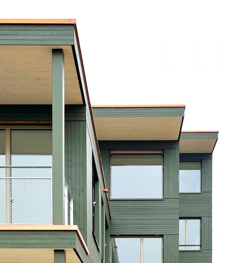 在菲斯利斯巴赫的山坡上居住丨瑞士丨Kollektiv Marudo-0