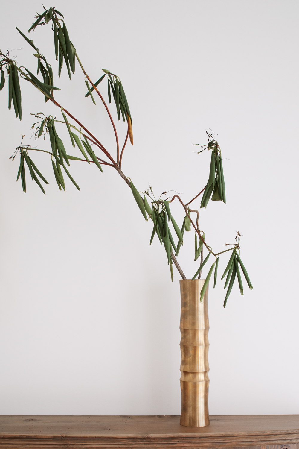 东汉普顿的伍德平克住宅-3