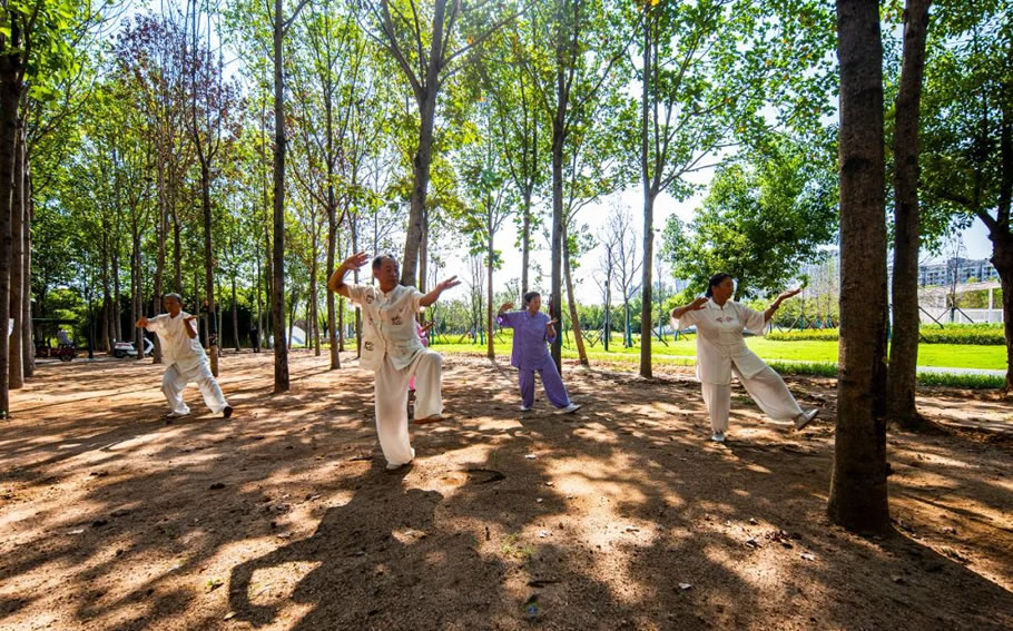 枣庄高新区人才公园设计丨中国枣庄丨同圆设计集团股份有限公司-120