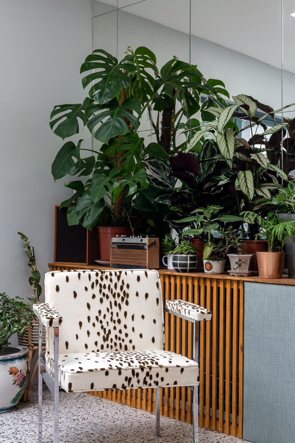 梦幻马盖特 | 古怪而温馨的威廉姆斯家园-9