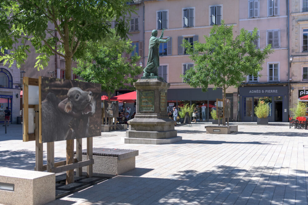 罗德兹市城市广场改造项目-41