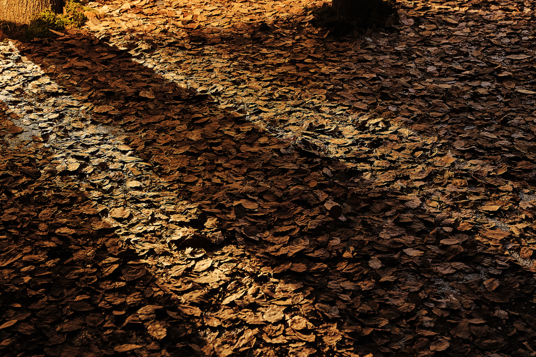 Der1863 品牌馆丨中国上海丨WEI 建筑与室内设计所-30