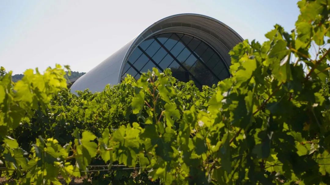 傅厚民东西方文化交汇设计合辑-144