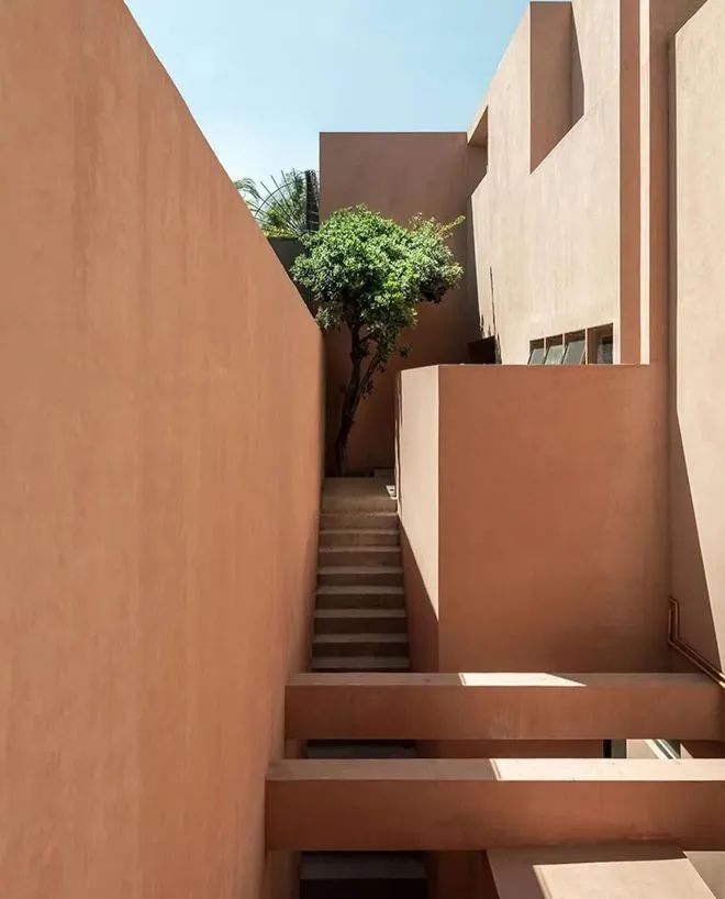 特霍科特之家丨墨西哥丨Gonzalez Muchow Arquitectos-86