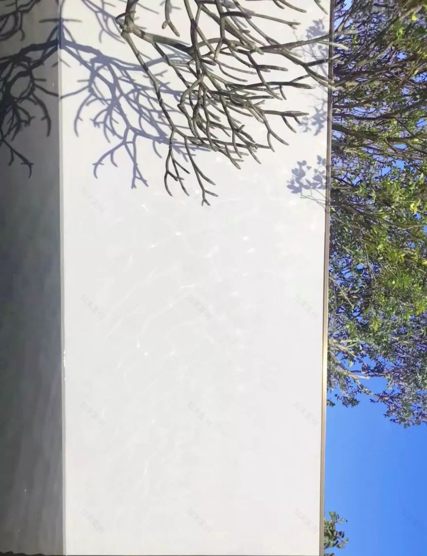 自然的魅力与艺术 | 广州龙湖 · 双珑原著-39