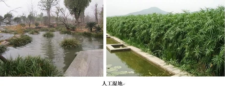 长沙梅溪湖国际新城 | 绿色生态水环境规划与整治-28