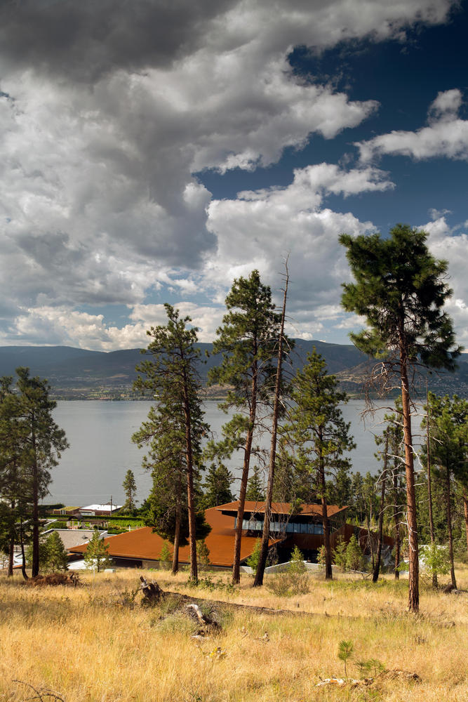 马丁巷酒庄·冯·曼德尔家族的重力酿酒传奇-79