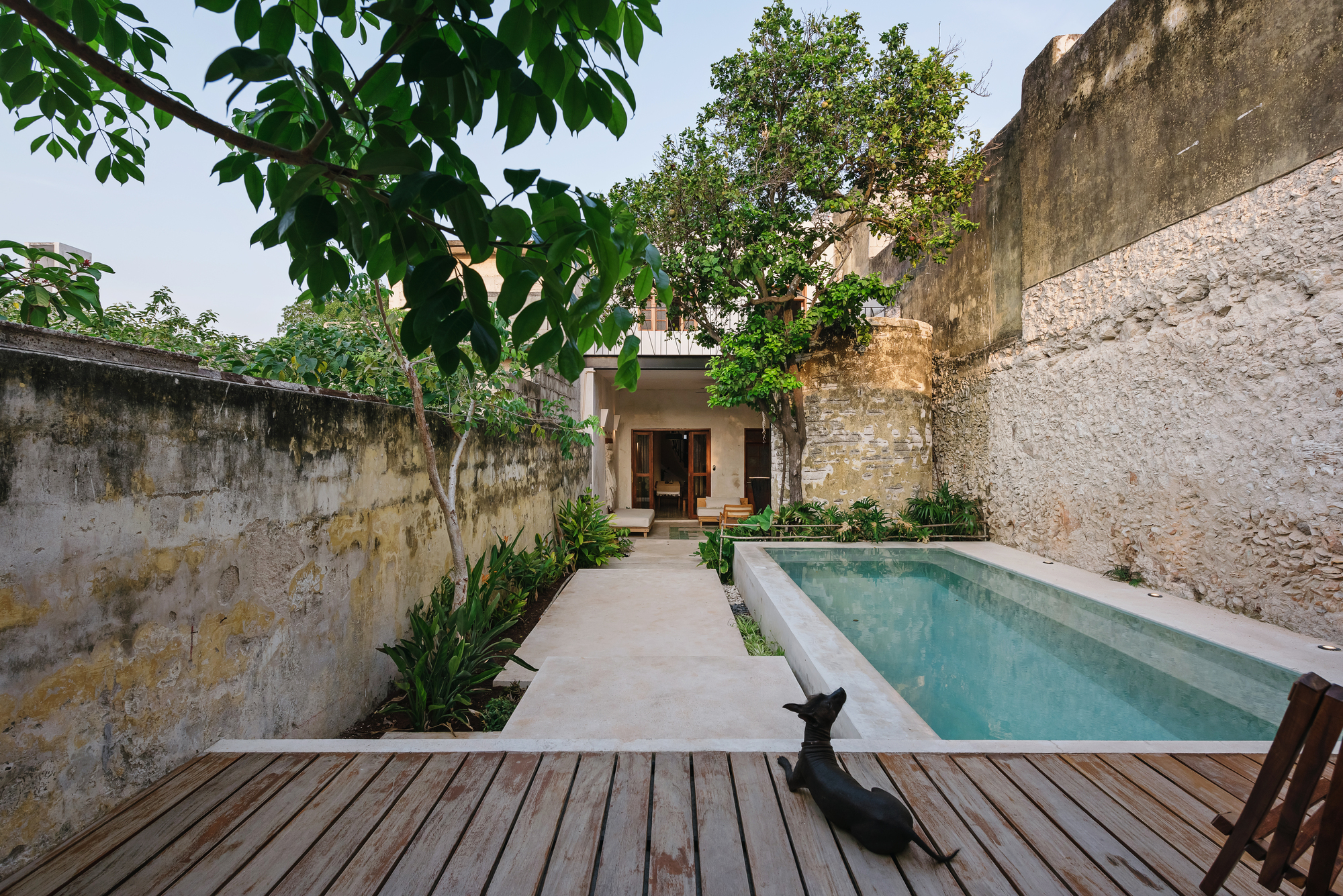 Taller Me·icano de Arquitectura,别墅建筑,Deco House-14