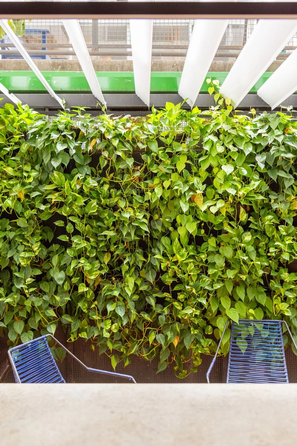 科内戈公寓丨巴西圣保罗丨Luis Canepa Arquitetos-52