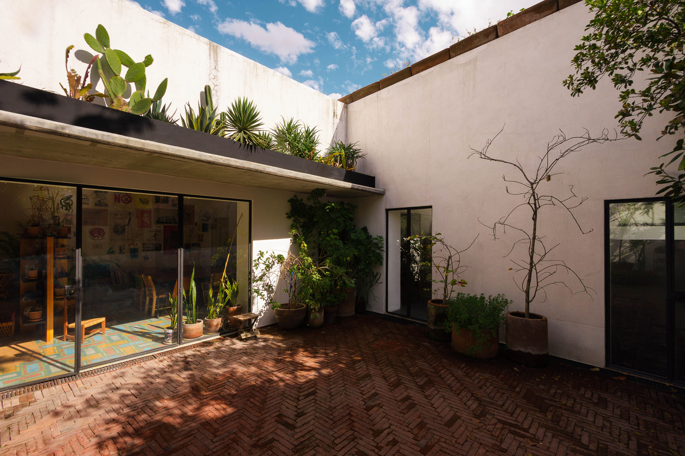 Andres Stebelski opens artist's house to courtyard in Mexico City renovation-6