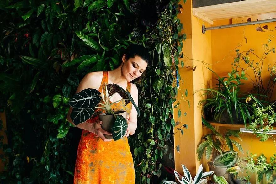 与自然共生 | 一个被植物包围的家-20