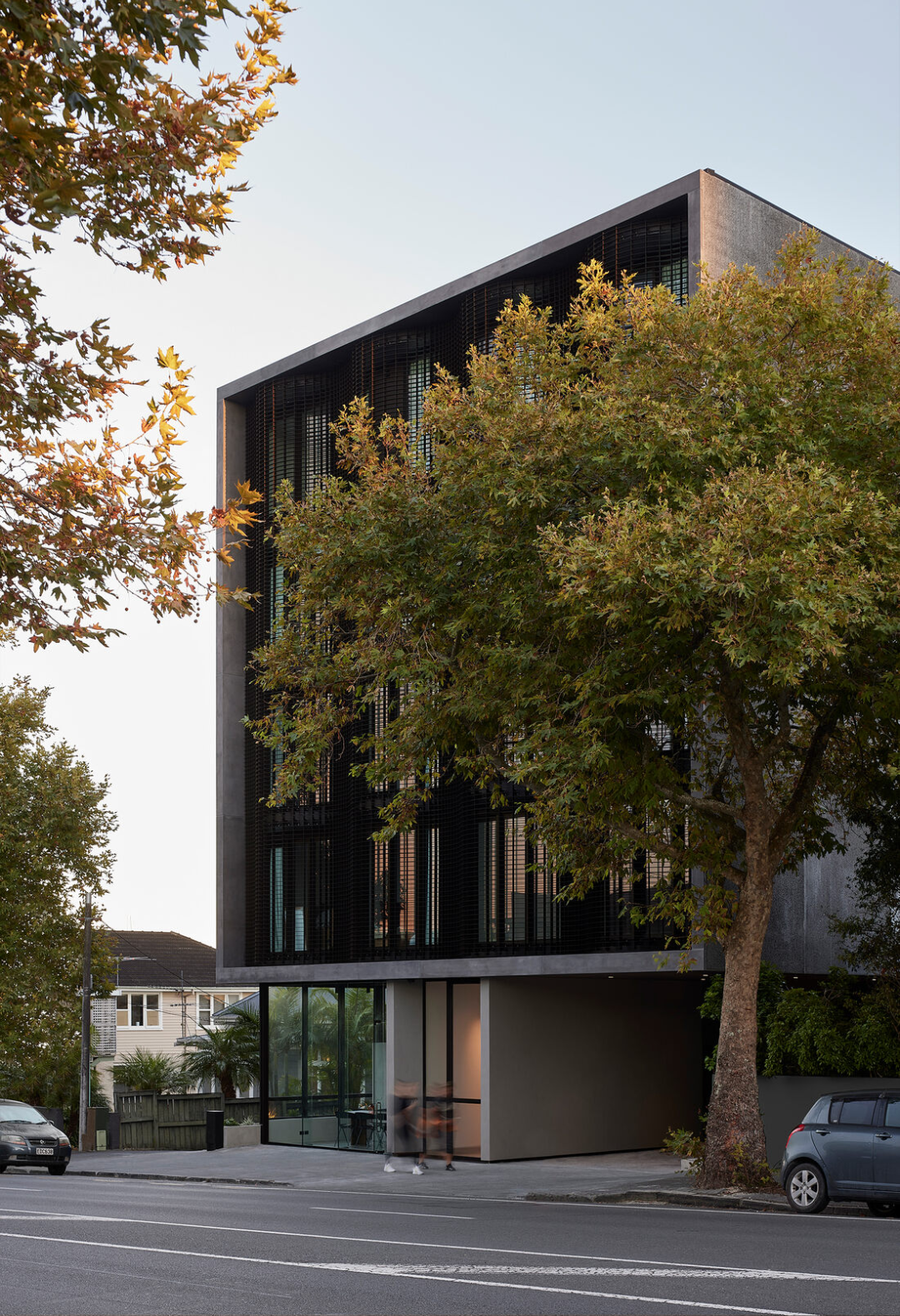 新西兰 Jervois Road 公寓丨新西兰奥克兰丨Monk Mackenzie-8