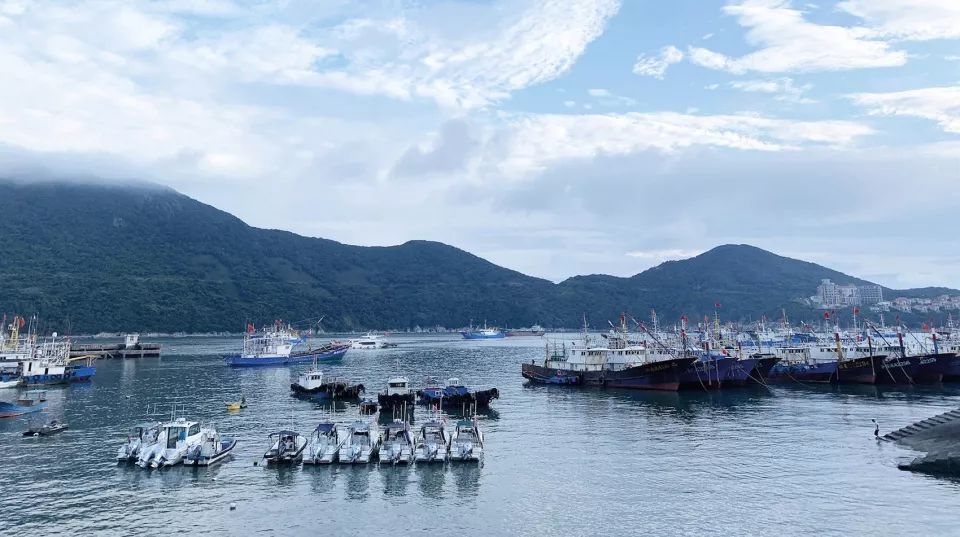 去欧式符号的舟山民宿，凝视自然的海景生活-6