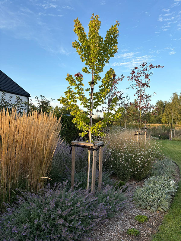 充满轻盈与和谐的花园设计-5