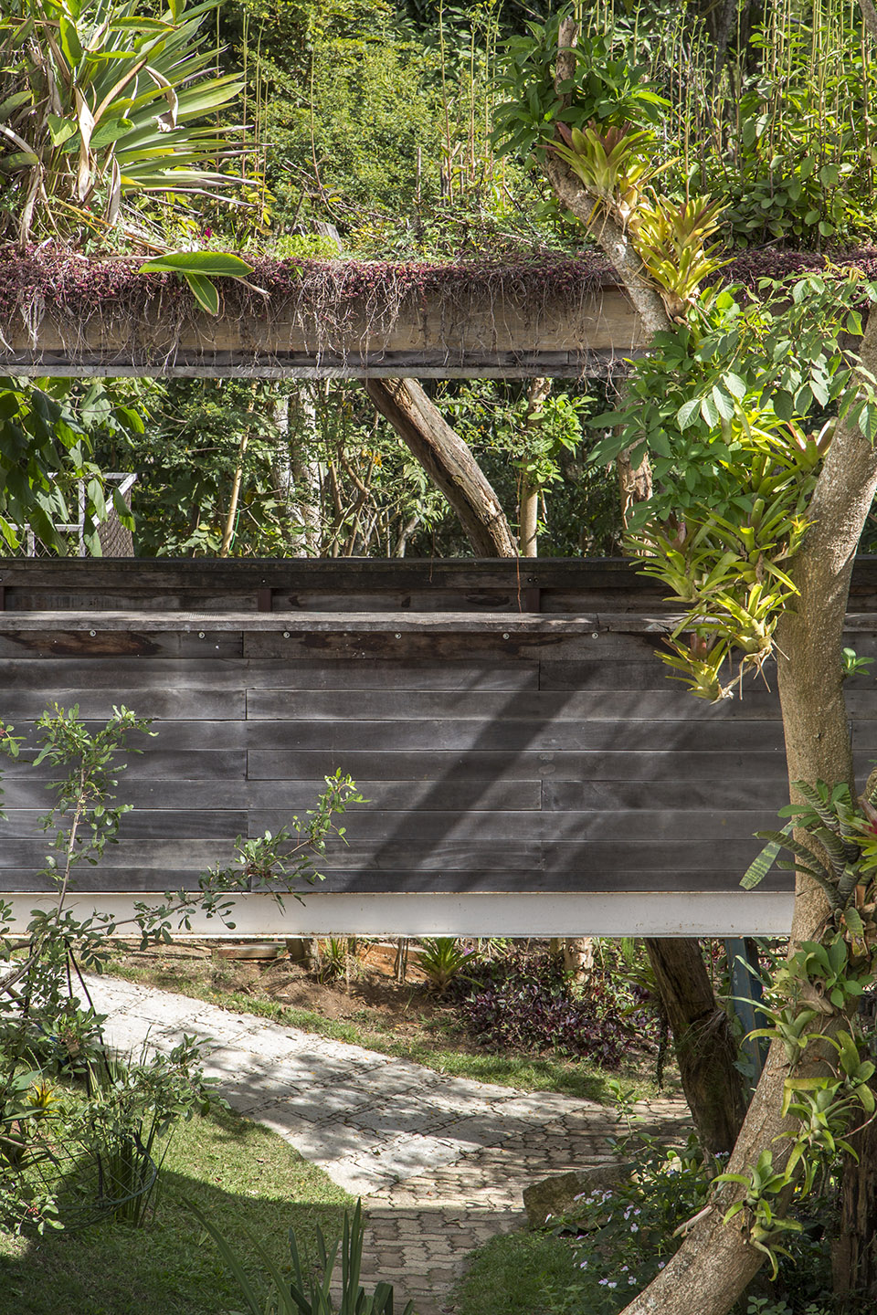 Samambaia住宅，巴西 / Rodrigo Simão Arquitetura-34