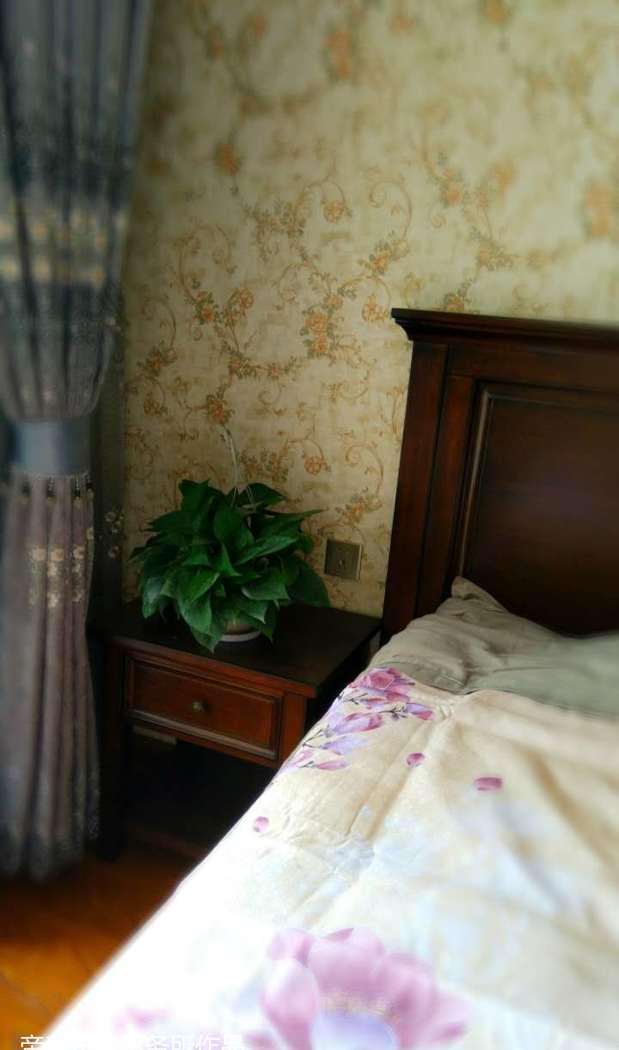 卢氏县新河湾王先生雅居-25