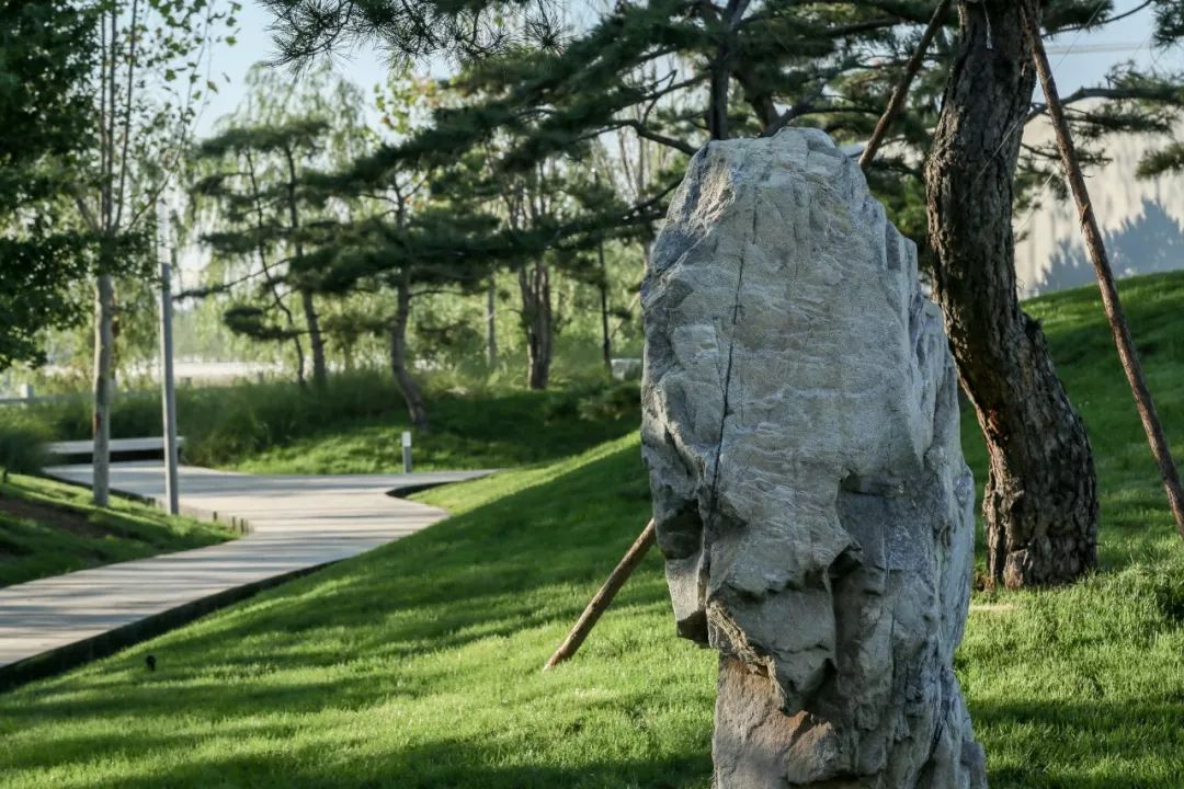 山海关金禧展示区 | 古松奇石，绘就历史画卷-56