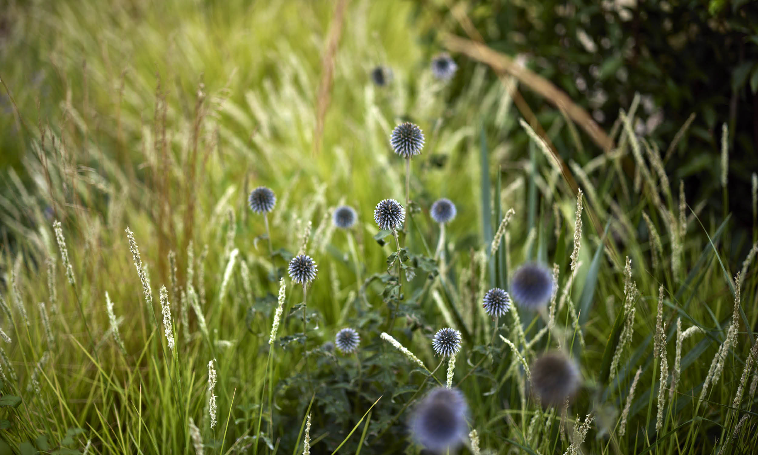 荷兰世园会  自然之境丨荷兰阿尔梅勒丨Stefano Marinaz景观公司（SMLA）-114