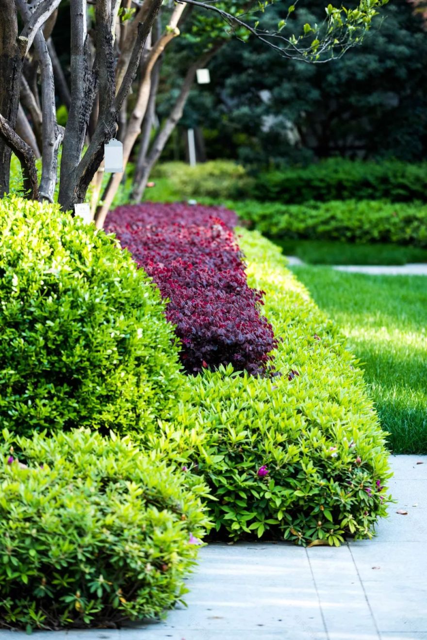 小空间中再次铸就经典——融创·外滩188-119