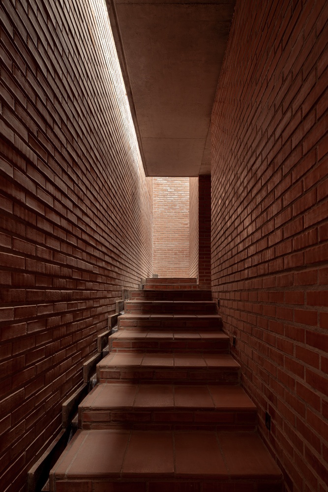 Pirules住宅丨墨西哥丨Escobedo Soliz-21