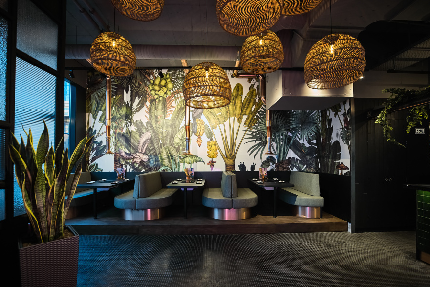 Birds House,Wallpaper 系列丨荷兰鹿特丹-10