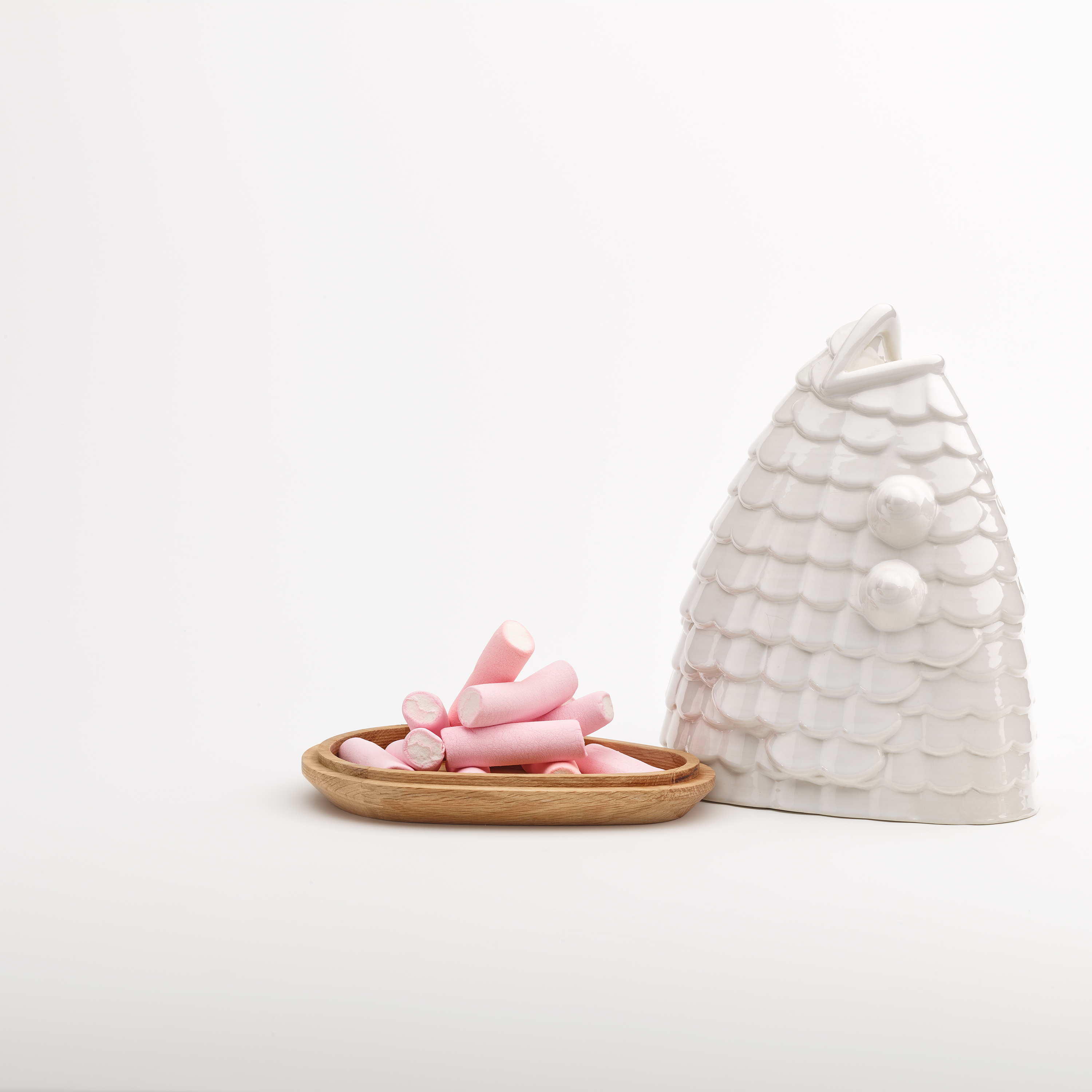 PECES — arquimaña-10