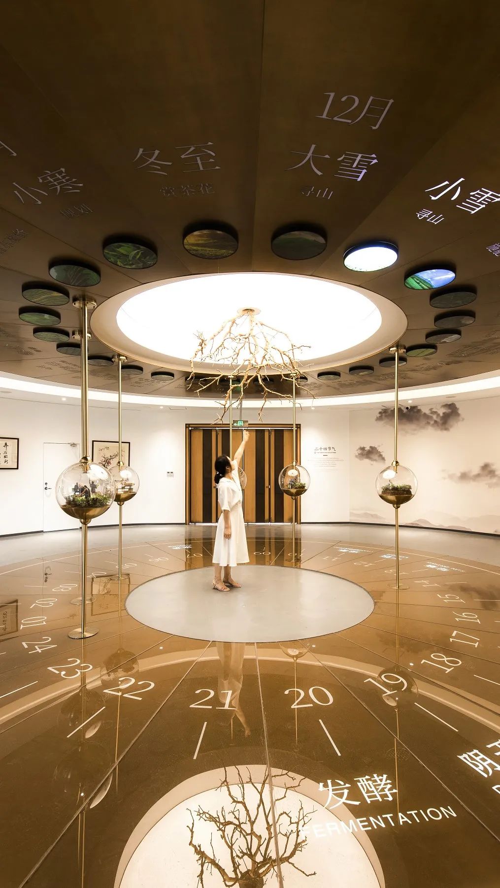 九曲红梅茶文化馆/器合设计-24