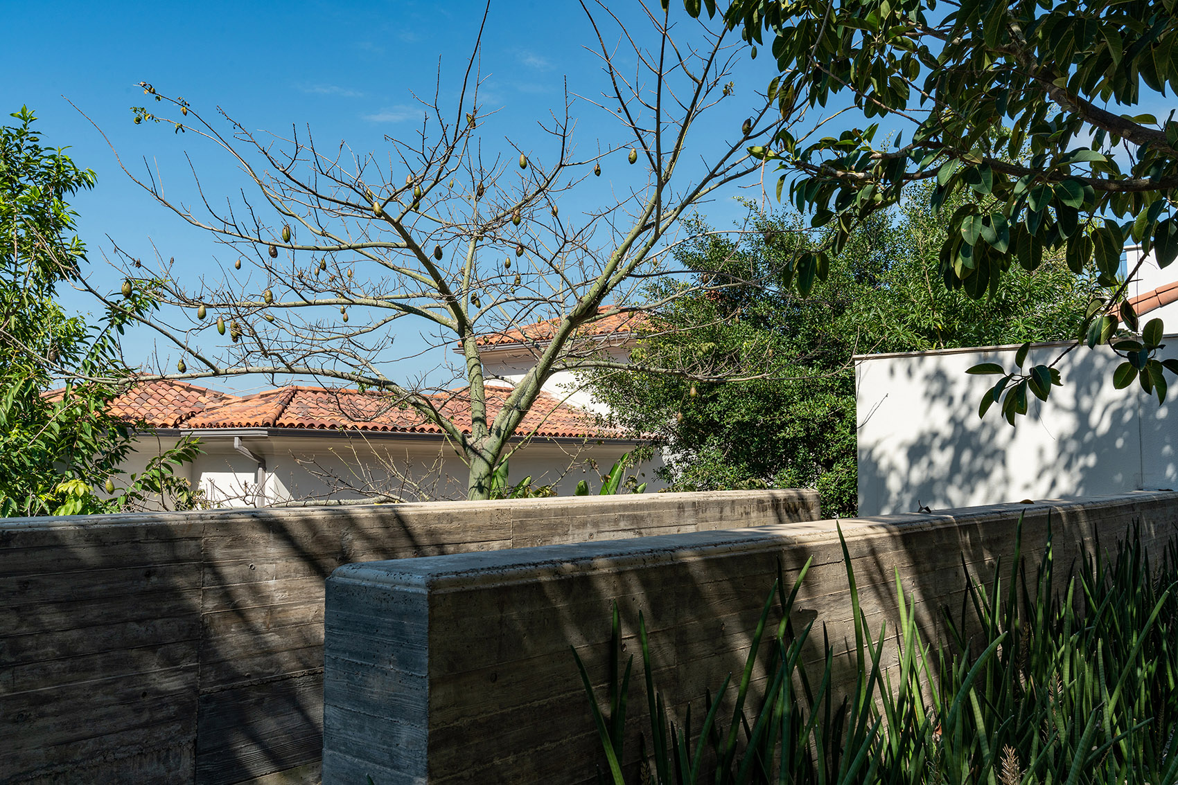 阿那亚三亚南花园丨中国三亚丨Z’scape致舍景观-98