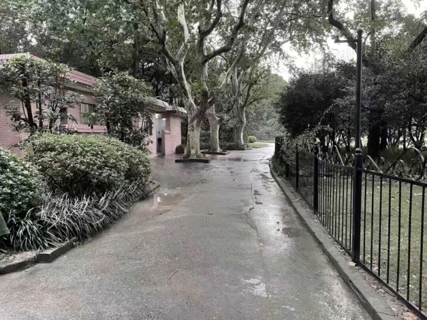 中国园林·理事专栏|“拓”之力量:杨浦公园改造纪实(三)-260